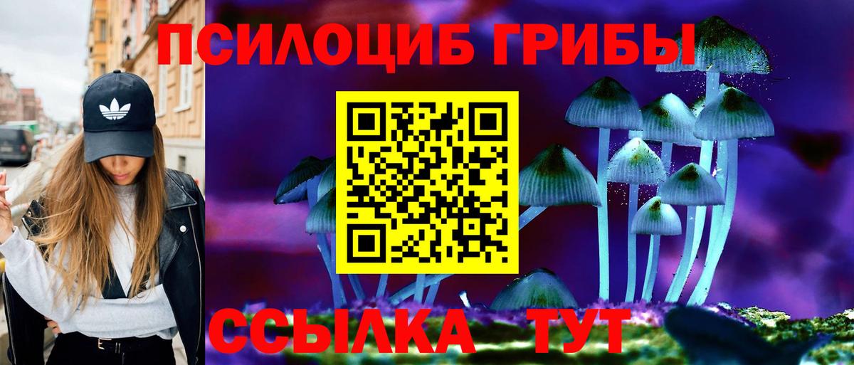 Богородицк  Галлюциногенные грибы Cubensis  Вход с VPN 